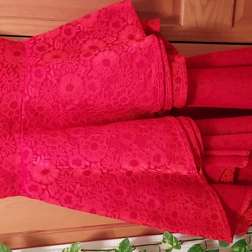 EIEN EUC Red Lace Dress - Picture 3 of 12